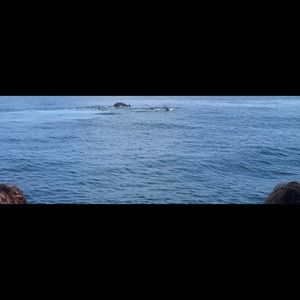 Meet your Posher, Adrienne